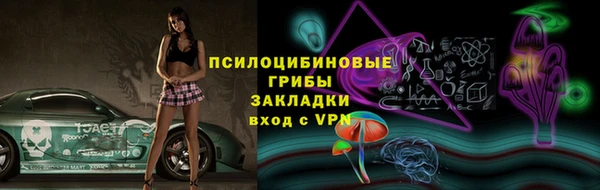 ГАЛЛЮЦИНОГЕННЫЕ ГРИБЫ Алзамай