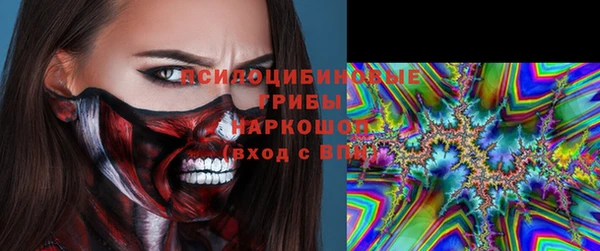 ГАЛЛЮЦИНОГЕННЫЕ ГРИБЫ Алзамай