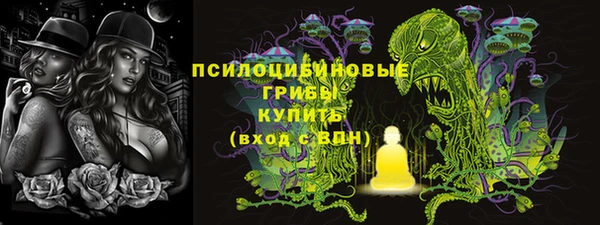 ГАЛЛЮЦИНОГЕННЫЕ ГРИБЫ Алзамай