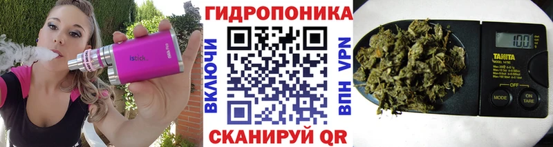 где найти   Ардатов  Конопля Amnesia 
